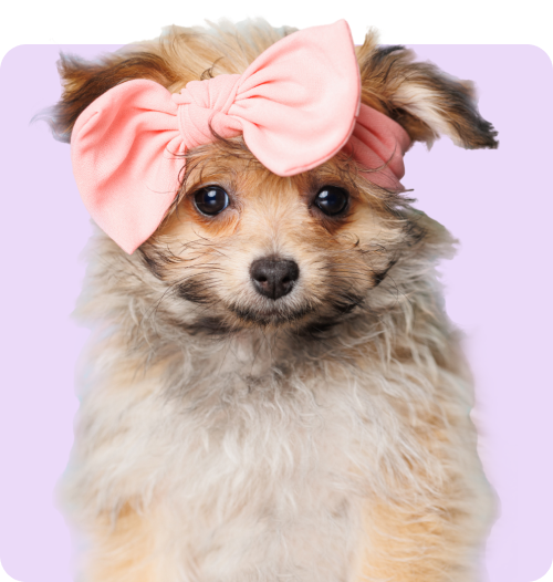 TRAINING consultation